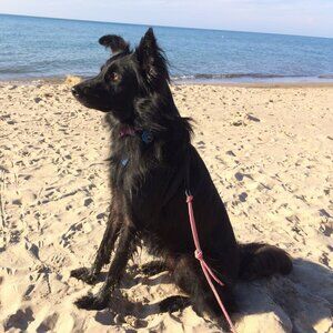 Meet your Posher, Tess